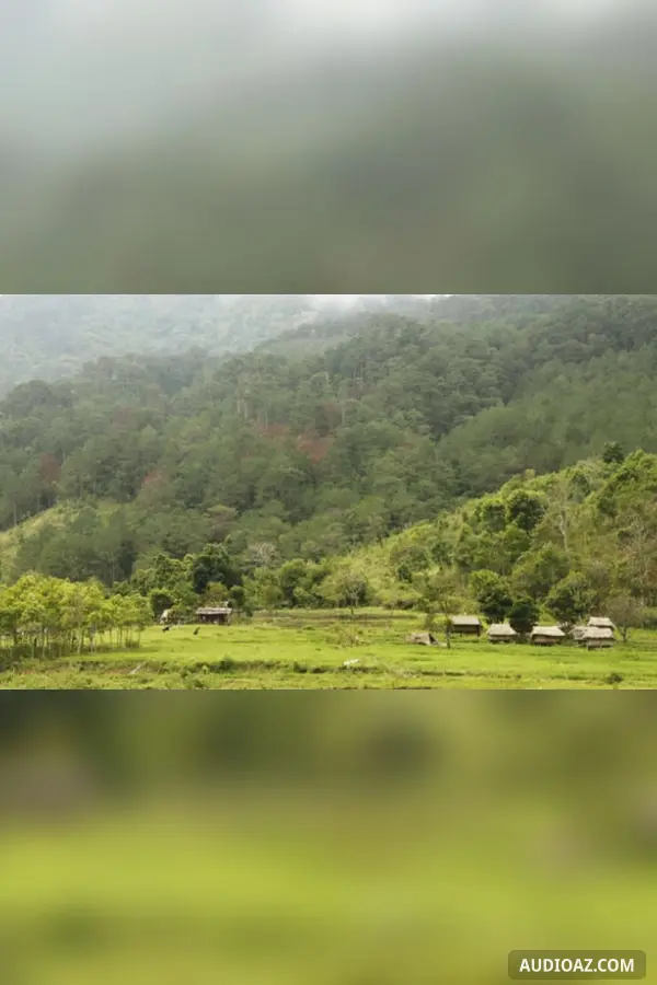 Dưới bóng rừng xau xau