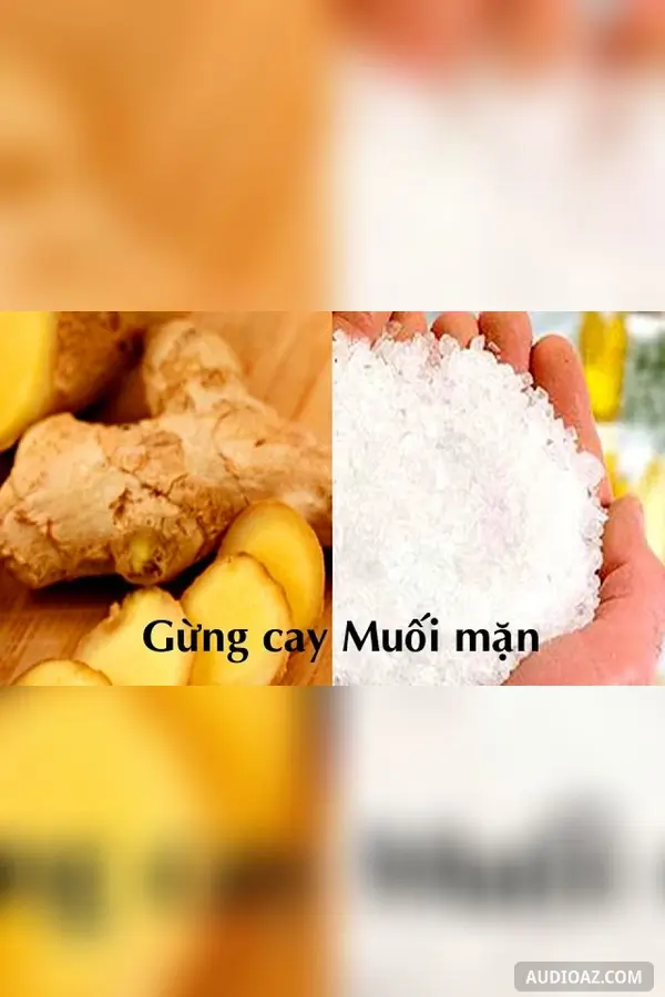 Gừng cay muối mặn