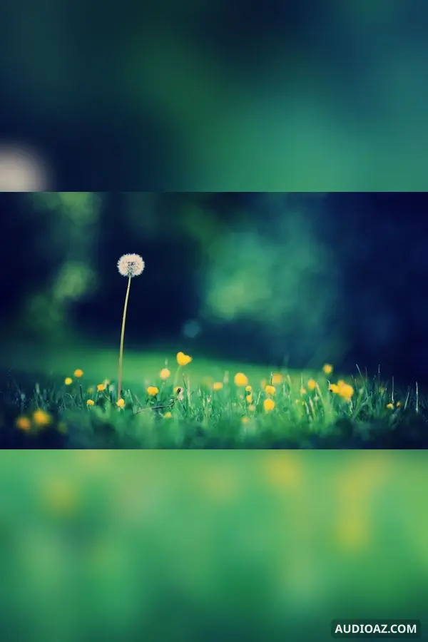 Không được viết (Tác giả: Trần Bá Hải)