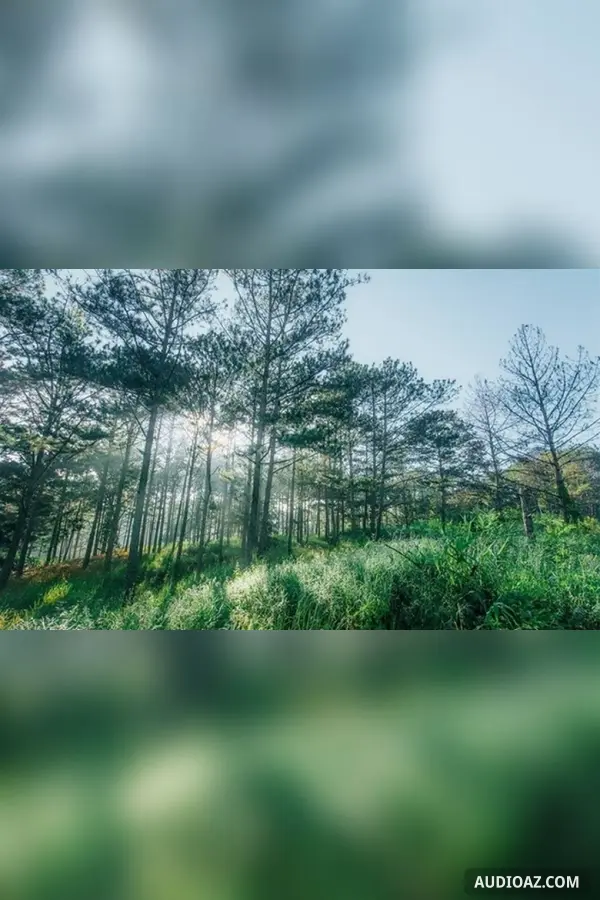 Lời hứa của thời gian