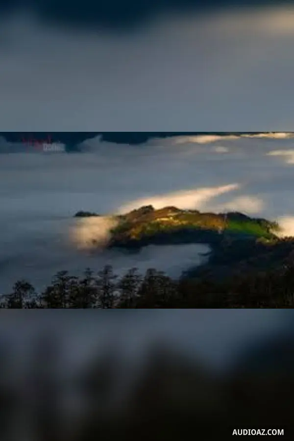 Nắng đồng bưng