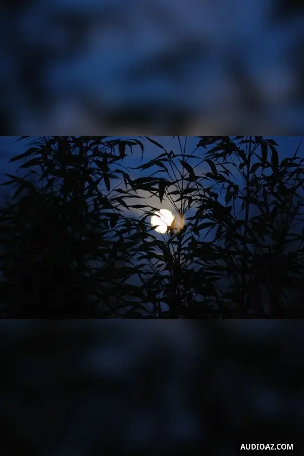 Trăng sáng vườn dưa