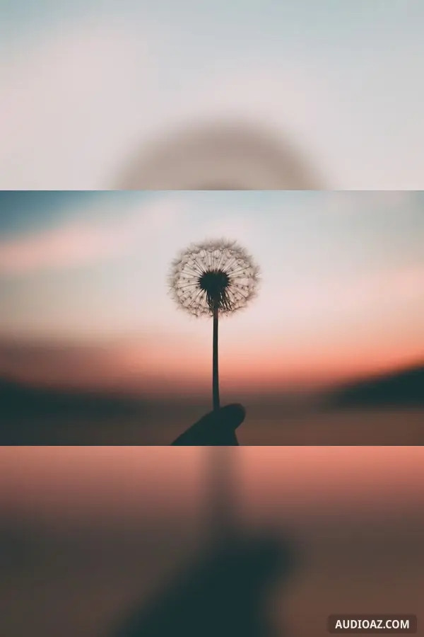 Vào một đời sống khác