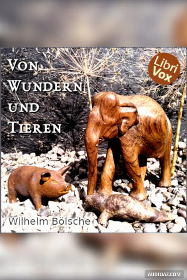 Von Wundern und Tieren