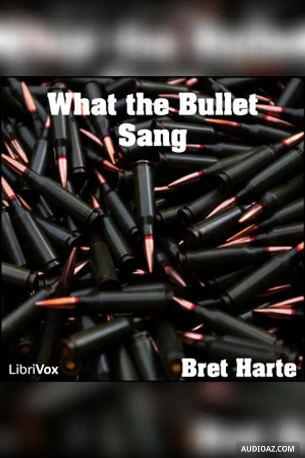 What the Bullet Sang