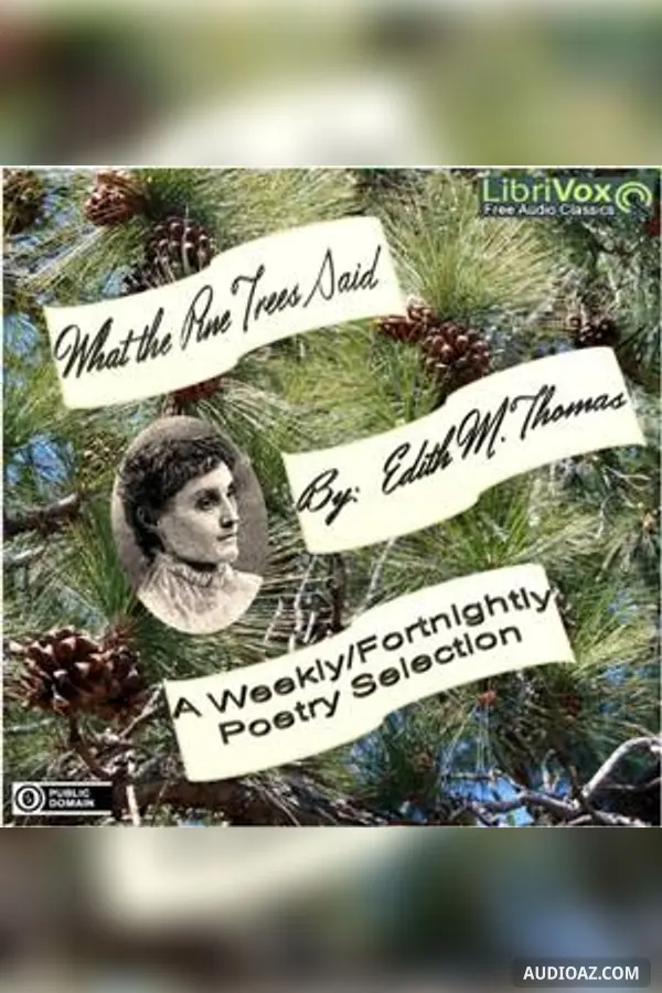 What The Pine Trees Said