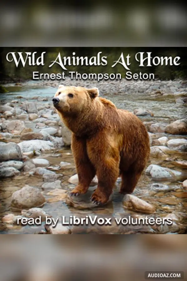 Wild Animals At Home