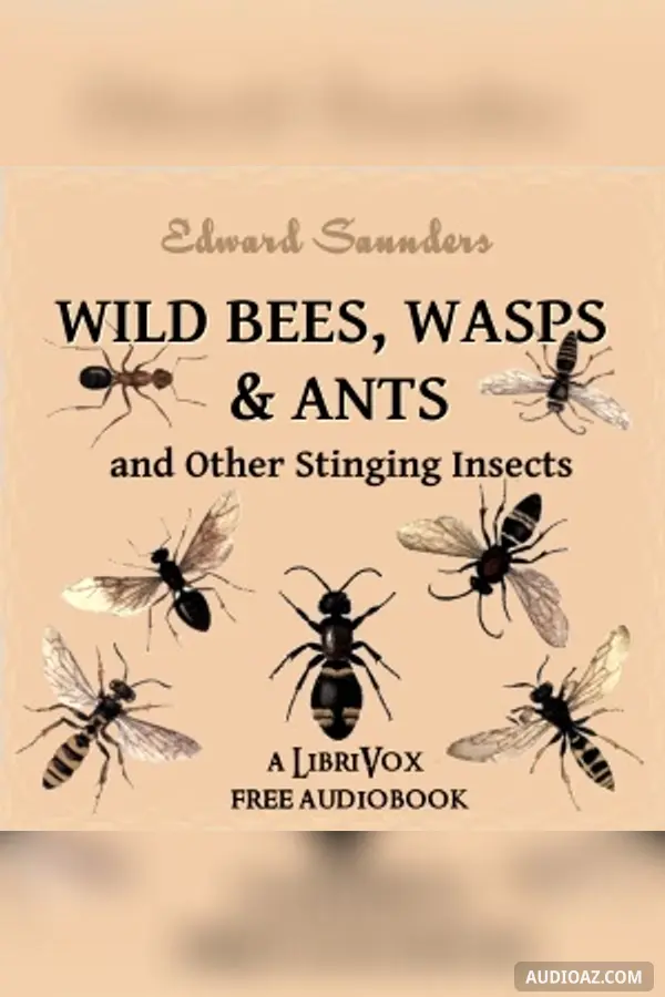 Wild Bees, Wasps and Ants and Other Stinging Insects