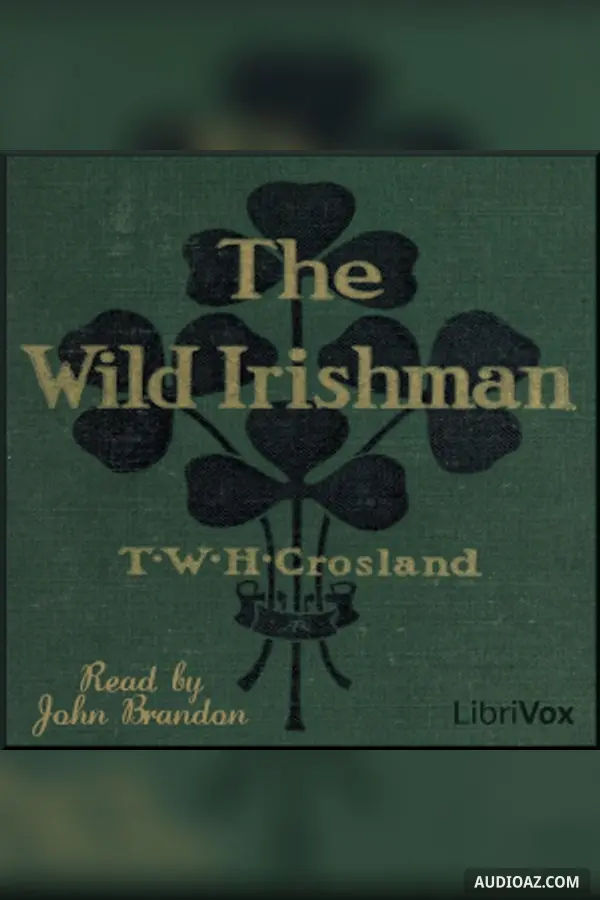 Wild Irishman