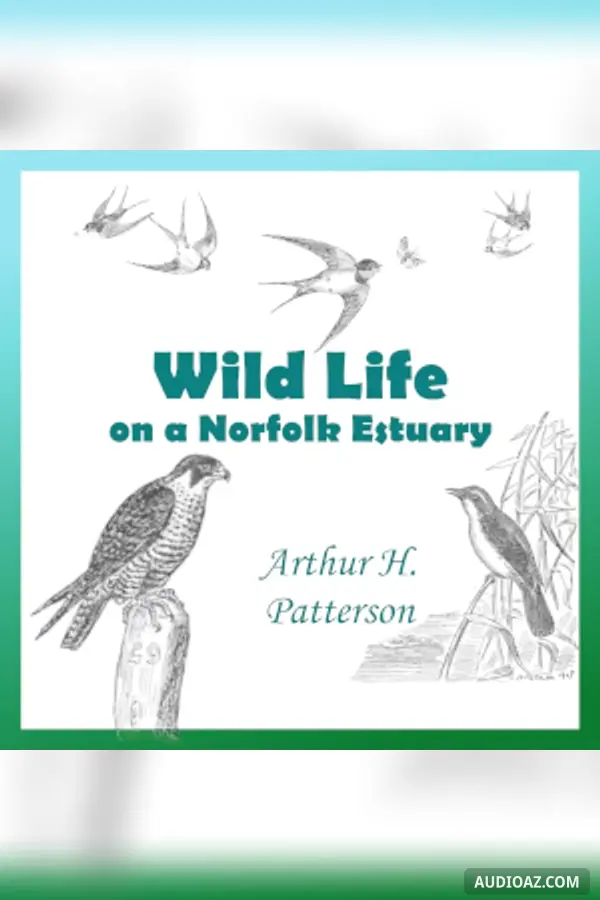 Wild Life on a Norfolk Estuary