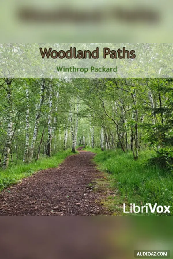 Woodland Paths