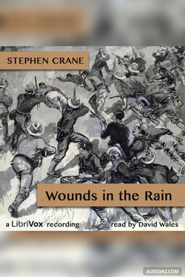 Wounds In The Rain; War Stories