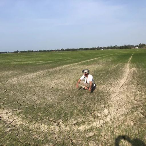 Ep1045: VOV - Thời sự 12h (7/2/2020)