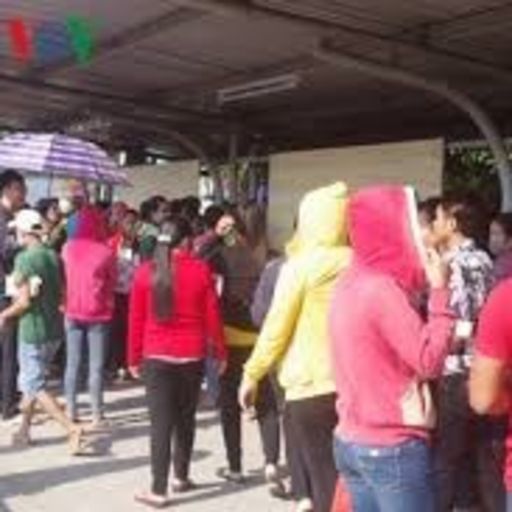 Ep112: Chương trình thời sự sáng (31/1/2019)