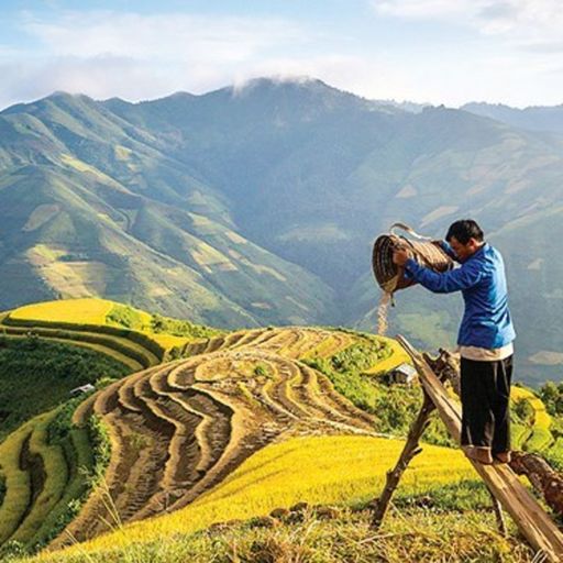 Ep138: Chương trình thời sự sáng (7/2/2019)
