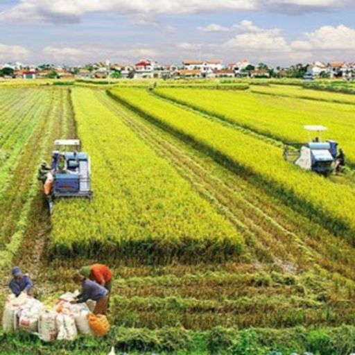 Ep1380: VOV - Thời sự 18h (10/6/2020)