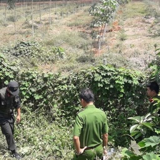 Ep141: Chương trình thời sự đêm (7/2/2019)