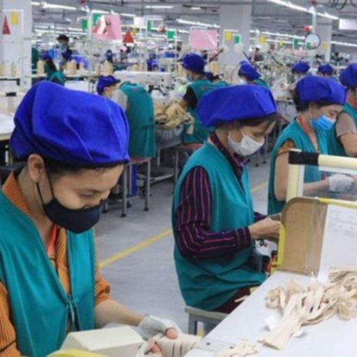 Ep2433: VOV - Thời sự 12h (12/7/2021)