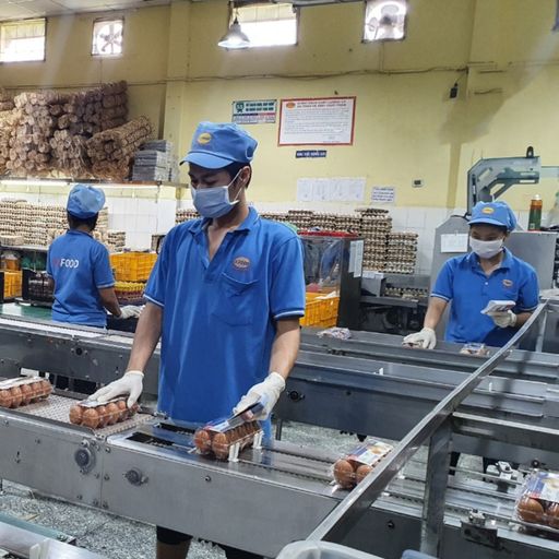 Ep2503: VOV - Thời sự 12h (4/8/2021)