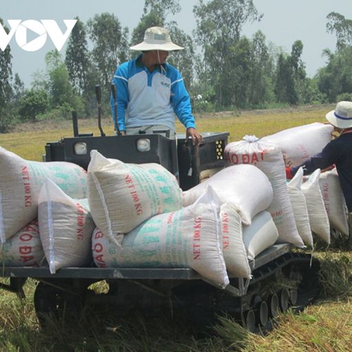Ep2712: VOV - Thời sự 6h (15/10/2021)