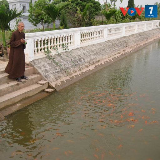 Ep2731: VOV - Thời sự 12h (21/10/2021) image