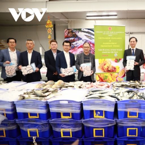 Ep2821: VOV - Thời sự 18h (21/11/2021)