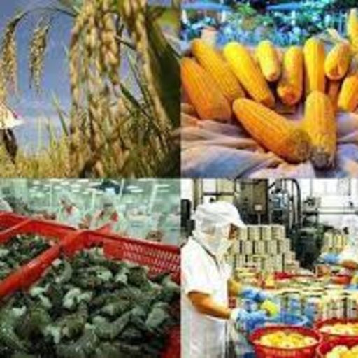 Ep2867: VOV - Thời sự 6h (7/12/2021)