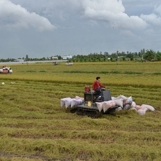 Ep4145: Thời sự 6h (20/2/2023) image