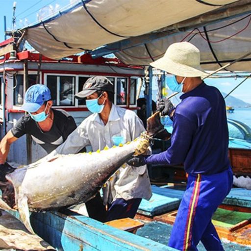 Ep4147: Thời sự 18h (20/2/2023) image