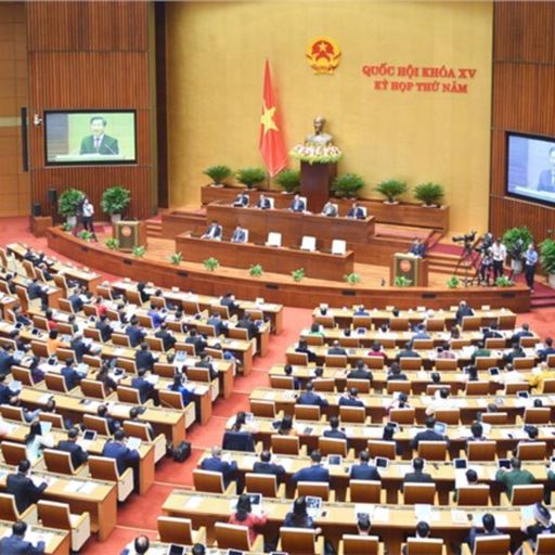 Ep4466: Thời sự 12h (8/6/2023) image