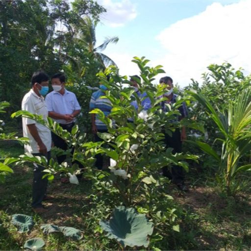 Ep2168: VOV - Tin trong nước: Kinh tế đi lên, đồng bào Khmer đón Chôl Chnăm Thmây vui tươi, phấn khởi