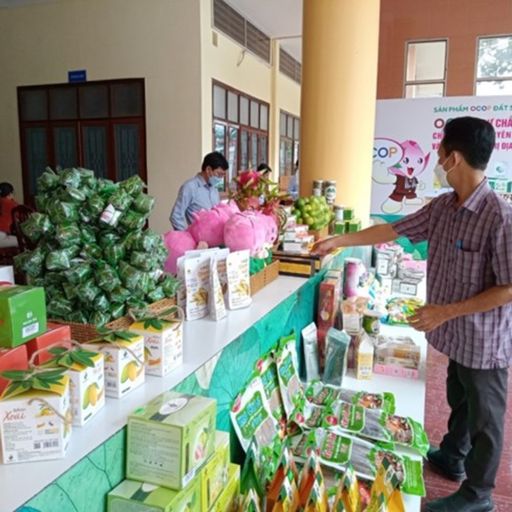Ep2485: Tin trong nước: Lễ hội Sen Đồng Tháp sẽ thiết lập kỷ lục 200 món ăn từ Sen 
