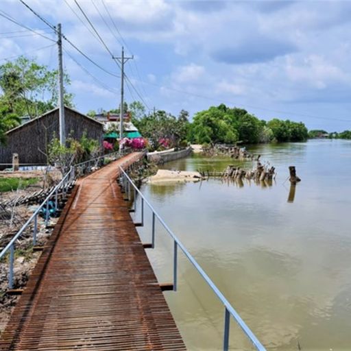 Ep2941: Tin trong nước: Cà Mau: Sạt lở bờ sông ngày càng nghiêm trọng cover