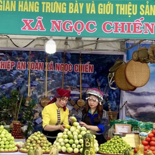 Ep2997: Tin trong nước: Độc đáo vùng đất nông sản bên dòng Đà Giang cover