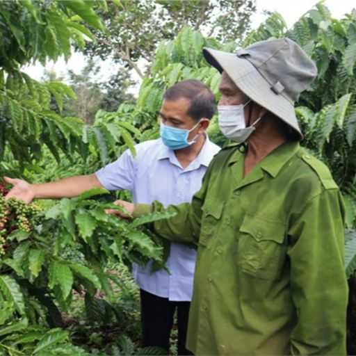 Ep3226: Tin trong nước: Đắk Lắk: Xuất khẩu nông sản nửa đầu năm 2022 đạt gần 20.000 tỷ đồng cover