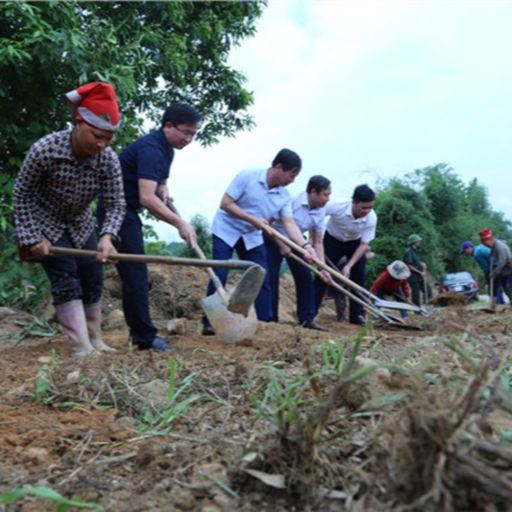 Ep3238: Tin trong nước: Ở nơi Đảng viên mỗi cuối tuần tìm về cơ sở cover