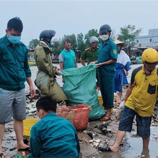 Ep3446: Tin trong nước: Cà Mau: Ấm lòng tình quân dân lúc thiên tai  cover