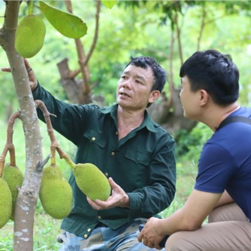 Ep3464: Tin trong nước: Thương binh vượt khó, chung sức xây dựng bản làng cover