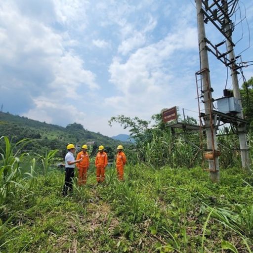 Ep3552: Tin trong nước: Điện lực Na Hang nỗ lực đảm bảo cung cấp điện mùa nắng nóng năm 2022 cover