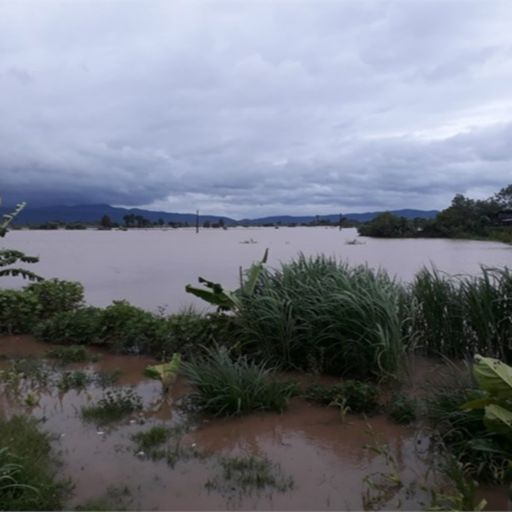 Ep3729: Tin trong nước: Gia Lai: 125 nhà dân và hơn 1500 ha lúa và hoa màu bị ngập lụt  cover