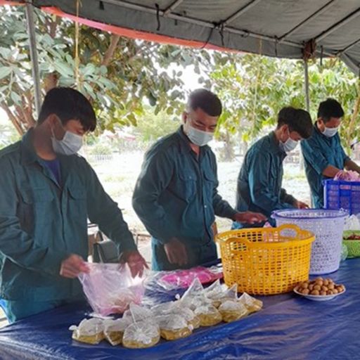 Ep3823: Tin trong nước: Lực lượng Dân quân tự vệ và Dự bị động viên nòng cốt, xung kích trong phòng dịch Covid- 19 cover