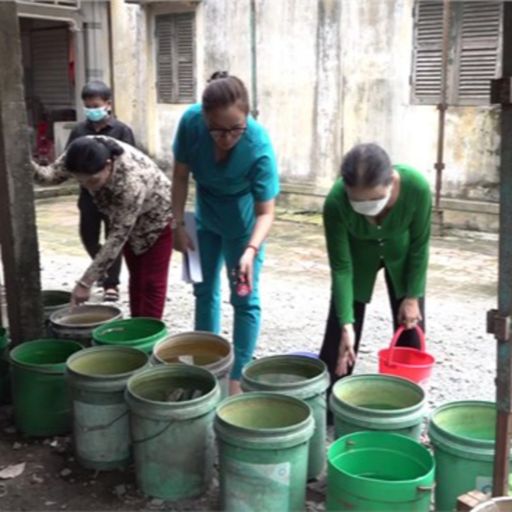 Ep3902: Tin trong nước: Long An đã ghi nhận 8 ca tử vong do sốt xuất huyết cover