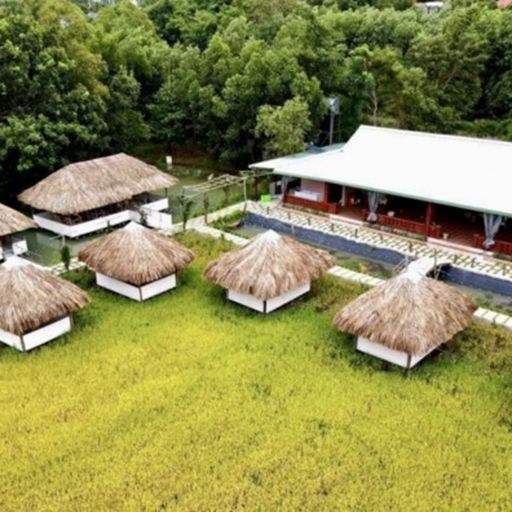 Ep4004: Tin trong nước: Loạn homestay, farmstay không phép ở Bà Rịa - Vũng Tàu cover