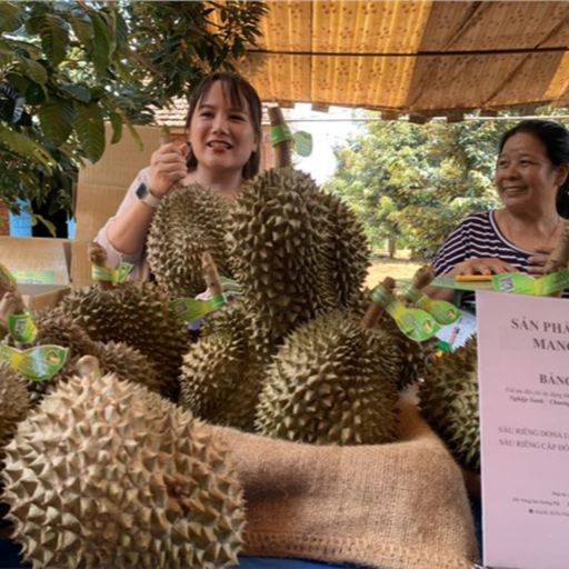 Ep4053: Tin trong nước: Lễ hội sầu riêng Prông Pắk thu hút người dân và du khách cover