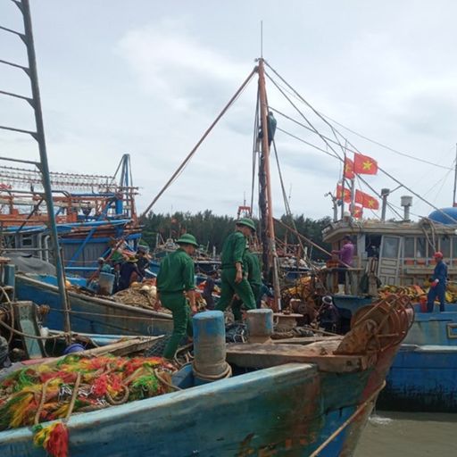 Ep4432: Tin trong nước: Ninh Thuận và Bình Thuận sẵn sàng "4 tại chỗ" ứng phó bão Noru 