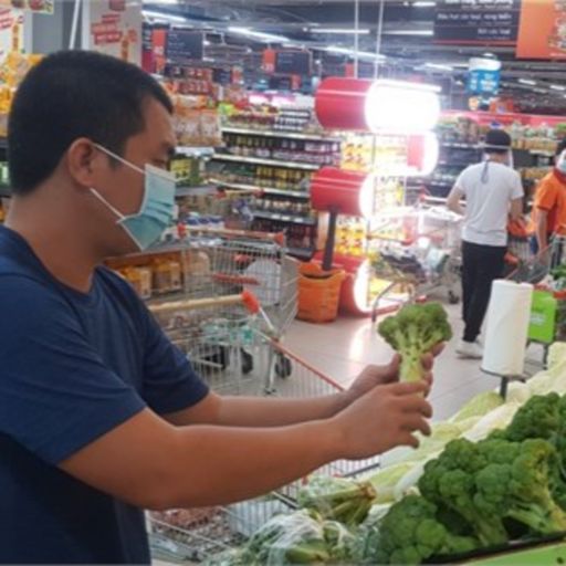 Ep5224: Tin trong nước: Phát triển nông nghiệp hữu cơ còn nhiều “nút thắt”