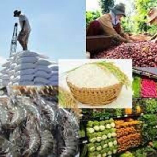 Ep6519: Tin trong nước - Thúc đẩy xuất khẩu rau quả: thường xuyên cập nhật yêu cầu từ các thị trường nhập khẩu image