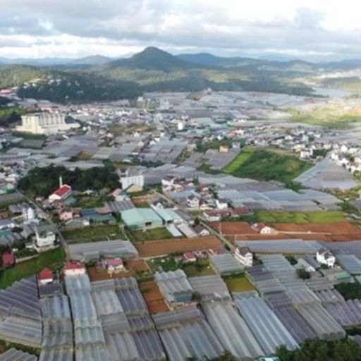 Ep6556: Tin trong nước - Vì sao Lâm Đồng di dời nhà kính ra khỏi nội ô Đà Lạt? image