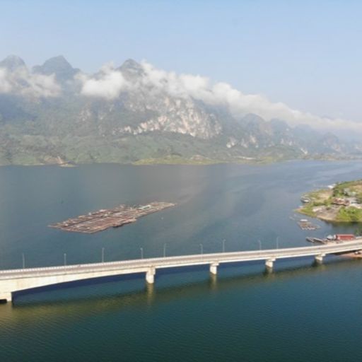 Ep6557: Tin trong nước - Có một "biển xanh" giữa đại ngàn Tây Bắc image