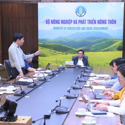 Ep6784: Tin trong nước - Chống khai thác IUU: tiếp cận thay đổi nhận thức từ chính ngư dân 